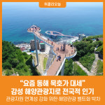 [위클리오늘] 요즘 동해 묵호가 대세 감성 해양관광지로 전국적 인기