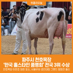[위클리오늘] 파주시 천호목장, 2025년 한국 홀스타인 품평회 전국 3위 수상