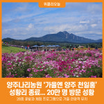 [위클리오늘] 2025년 양주나리농원 가을 개장 성황리 종료