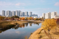 [위클리오늘] [포토] 양주시, 가을의 끝자락 옥정신도시