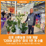 [위클리오늘] 김포 샤론농원, 다이아 금전수 미국 1만 개 수출