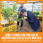 [위클리오늘] 강릉시, 과학영농·유망작목으로 미래형 농업 전환 가속화