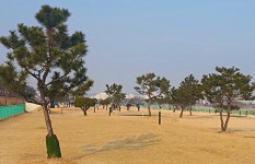 [위클리오늘] 안동시, 파크골프장 2026년부터 직영 운영 전환... 하천법 위반 등 개선책