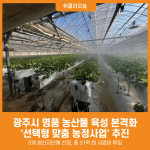 [위클리오늘] 광주시, 선택형 맞춤 농정사업 추진…명품 농산물 육성 본격화