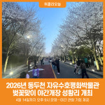 [위클리오늘] 동두천시, 2026년 자유수호평화박물관 벚꽃맞이 야간개장 성황리 개최
