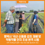 [위클리오늘] 평택시, 국내 육성 감초 원감․다감으로 약용작물 특화 박차