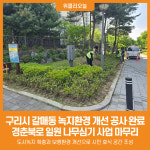 [위클리오늘] 구리시, 갈매 경춘북로 나무 심기 및 편의시설 설치 공사 완료