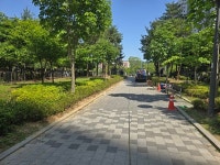 [위클리오늘] 구리시, 갈매 경춘북로 나무 심기 및 편의시설 설치 공사 완료