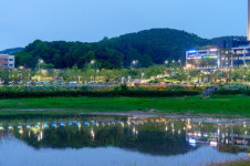 [위클리오늘] 오산시, 원1저수지 경관조명 설치 완료…야간 명소 조성 기대
