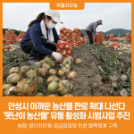 [위클리오늘] 안성시, 아까운 농산물 유통 판매 시범사업 본격 추진