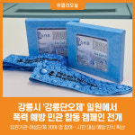 [위클리오늘] 강릉시, 단오제 맞아 폭력 예방 민관 합동 캠페인 전개