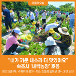 [위클리오늘] 내가 키운 채소라 더 맛있어요… 속초시 새싹농장 호응