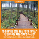 [위클리오늘] 강원도, 8월 지질·생태명소 횡성 청태·태기산 선정