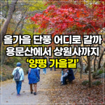 [위클리오늘] 올가을 단풍 어디로 갈까…용문산에서 상원사까지 '양평 가을길'