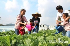 실버·다둥이·다문화가족텃밭 김장채소 파종
