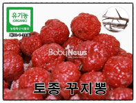 꾸지뽕 농장, 유기농 옹고집 지키는 이유는?