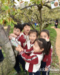 배나무와 함께 도심 속 특별한 체험해요