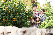 놀면서 배우는 체험학습, 이렇게 해보세요