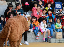 하회마을 찾은 아이들, 오줌싸는 황소에 엄마야~