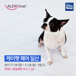 반려동물을 위한 알집 펫매트, 케이펫페어 참가