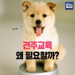 반려동물 천만시대, 견주교육이 왜 필요할까?