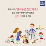 반려동물 천만시대, 견주교육이 왜 필요할까?