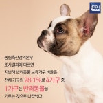 반려동물 천만시대, 견주교육이 왜 필요할까?