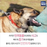 반려동물 천만시대, 견주교육이 왜 필요할까?