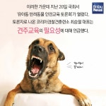 반려동물 천만시대, 견주교육이 왜 필요할까?