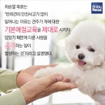 반려동물 천만시대, 견주교육이 왜 필요할까?