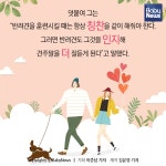 반려동물 천만시대, 견주교육이 왜 필요할까?