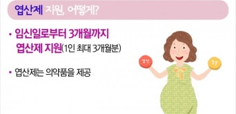 모든 임산부에게 '엽산제·철분제' 무료 지원