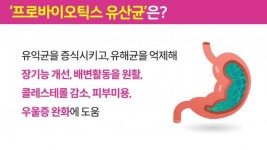 안전한 유산균 똑똑하게 고르는 4가지 Tip