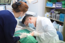 광명77플란트 치과 장재우 원장, 대한민국 100대 명의 선정