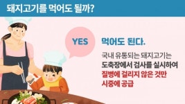 우리 아이 최애 반찬 돼지고기 먹어도 되나요?