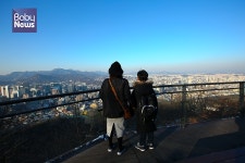 남산타워서 본 도심 파랗다