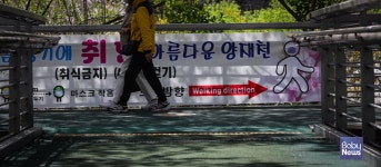 벚꽃구경 보행방향은 지켜주세요