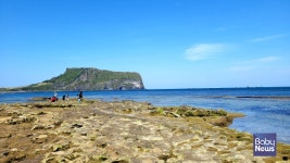 알고 있는 것의 새로움 제주 올레길 탐방