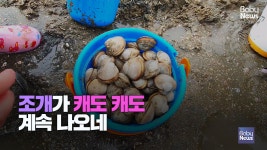 [스토리영상] 아이와 함께 조개잡이 체험 떠나볼까?