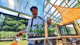 전세금 빼서 귀촌 5년... 농부가 된 아빠의 행복학개론