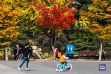 자전거 타기 딱 좋은 날이에요