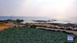 제주 이주민 4명 중 1명은 제주를 떠날 계획을 하고 있다