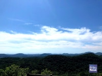 일년에 한번 공개되는 제주 비밀의 숲길로 떠나볼까요?