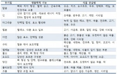 청소년기 아이를 키우는 부모들을 위한 몇 가지 조언