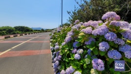 여름 제주와 함께 떠나는 감성여행지 추천