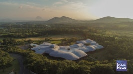 제주 포도호텔, Artful Stay 패키지 신규 출시