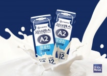 프로틴의 진화 연세유업 등 식품업계, 차별화 전략으로 헬스디깅족 공략