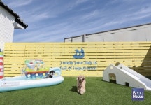 [펫뉴스] 헬로우버디, 전국 단위 프랜차이즈 런칭... 반려견 케어 서비스 확장