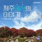 [오늘의 특가] 에어서울, 제주 해비치 호텔 등 제휴 강화
