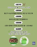 용산구, 우리 집 싱싱박스 상자텃밭 신청자 모집